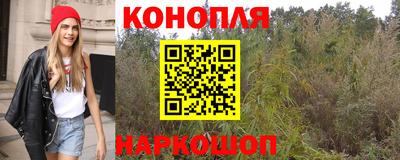 mdpv Ачхой-Мартан