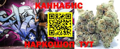 mdpv Ачхой-Мартан
