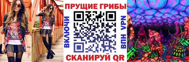Псилоцибиновые грибы Magic Shrooms  где купить наркотик  Богданович 