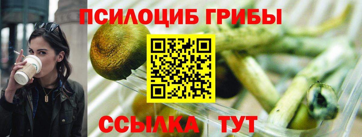 Псилоцибиновые грибы ЛСД  Вход с VPN  Богданович 